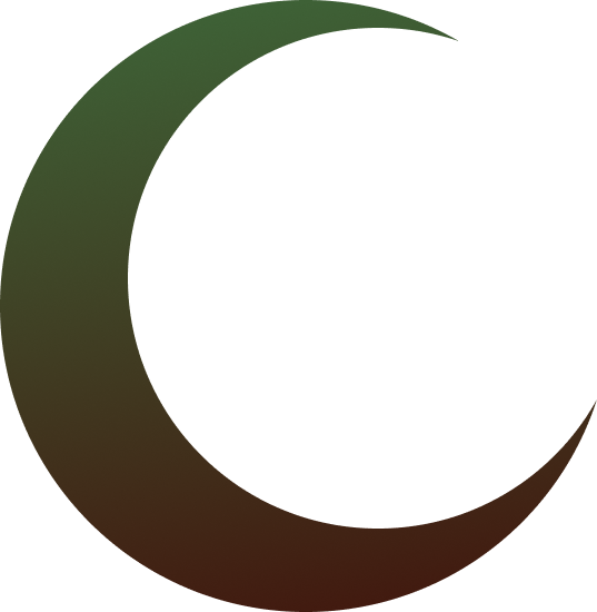 Logo Noor